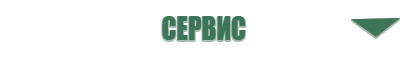 Денас Пкм 2009